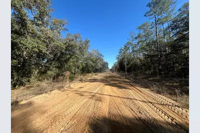 Banks, Interlachen, FL 32148 - Photo 6