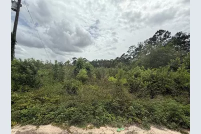 129 Fishermans Drive, Interlachen, FL 32148 - Photo 8
