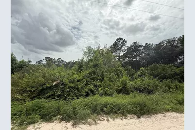 129 Fishermans Drive, Interlachen, FL 32148 - Photo 1