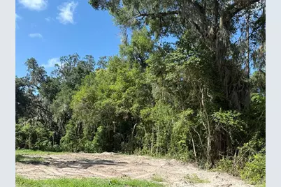 115 Roddy Lane, Palatka, FL 32177 - Photo 2