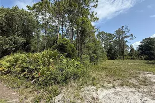 174 Millican Rd, Palatka, FL 32177 - Photo 1