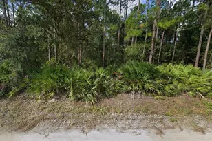 178 Millican Rd, Palatka, FL 32177 - Photo 1