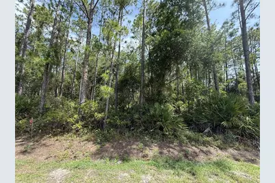 178 Millican Road, Palatka, FL 32177 - Photo 2