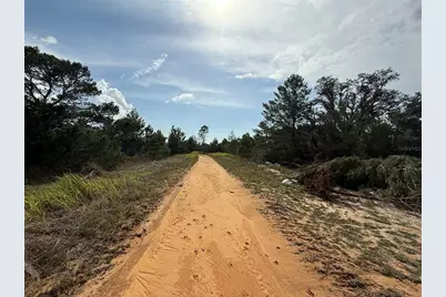 2921 W Seville Drive, Avon Park, FL 33825 - Photo 2