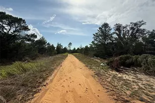 2921 W Seville Dr, Avon Park, FL 33825 - Photo 2