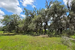 16984 NW 176th Ave, Okeechobee, FL 34972 - Photo 6