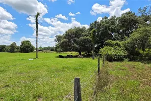 16984 NW 176th Ave, Okeechobee, FL 34972 - Photo 8