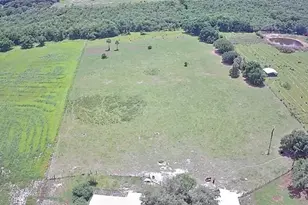 16984 NW 176th Ave, Okeechobee, FL 34972 - Photo 12