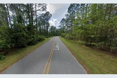 242 Lakeway Drive, Georgetown, FL 32139 - Photo 8