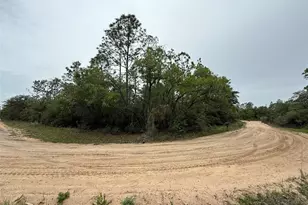 111 Brass St, Interlachen, FL 32148 - Photo 1