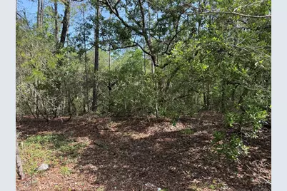 101 Washington Avenue, Satsuma, FL 32189 - Photo 2