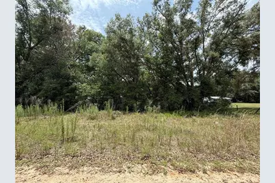 119 Smokey Avenue, Interlachen, FL 32148 - Photo 6