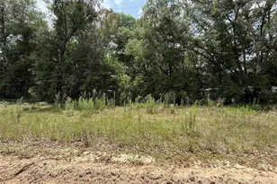 119 Smokey Ave, Interlachen, FL 32148 - Photo 1