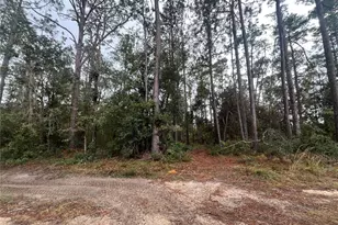 Susan St, Interlachen, FL 32148 - Photo 1