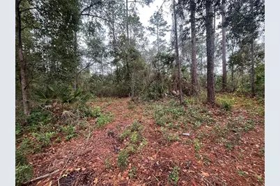 Susan Street, Interlachen, FL 32148 - Photo 4