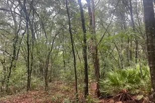 Tbd Delaware Ave, Interlachen, FL 32148 - Photo 1