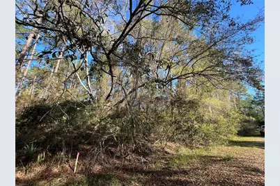 104 SE 5th Street, Georgetown, FL 32139 - Photo 4