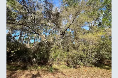 104 SE 5th Street, Georgetown, FL 32139 - Photo 1