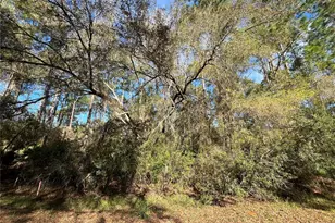 104 SE 5th St, Georgetown, FL 32139 - Photo 1