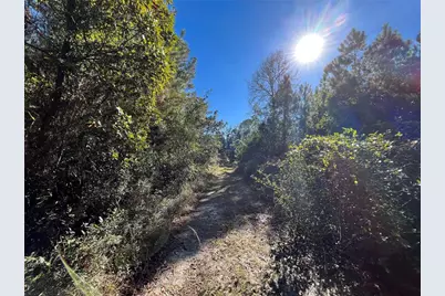 223 Mourning Dove Road, Satsuma, FL 32189 - Photo 2