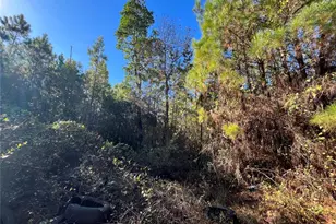 223 Mourning Dove Rd, Satsuma, FL 32189 - Photo 1