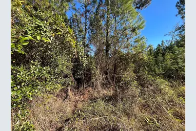 223 Mourning Dove Road, Satsuma, FL 32189 - Photo 6