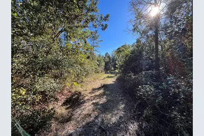 223 Mourning Dove Road, Satsuma, FL 32189 - Photo 4