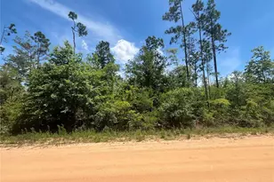 Tamarac Rd, Marianna, FL 32448 - Photo 1