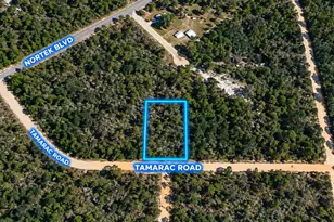 Tamarac Rd, Marianna, FL 32448 - Photo 1