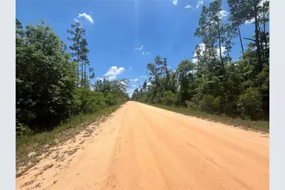 Tamarac Road, Marianna, FL 32448 - Photo 6