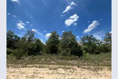 Tbd Magnolia Lane, Marianna, FL 32448 - Photo 2
