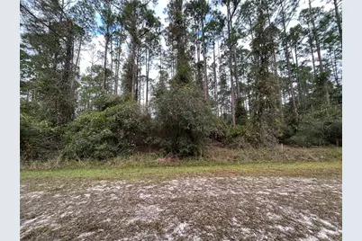 108 SE 5th Street, Georgetown, FL 32139 - Photo 1