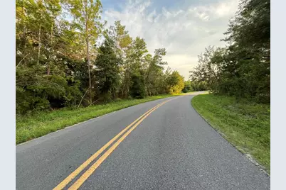 Tbd Twin Lakes Road, Interlachen, FL 32148 - Photo 4