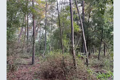 Tbd Twin Lakes Road, Interlachen, FL 32148 - Photo 8