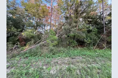 Tbd Twin Lakes Road, Interlachen, FL 32148 - Photo 2