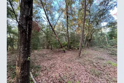 Tbd Twin Lakes Road, Interlachen, FL 32148 - Photo 6