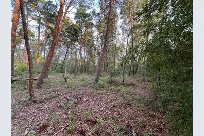 Tbd Twin Lakes Road, Interlachen, FL 32148 - Photo 1