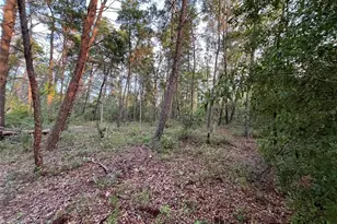 Tbd Twin Lakes Rd, Interlachen, FL 32148 - Photo 1