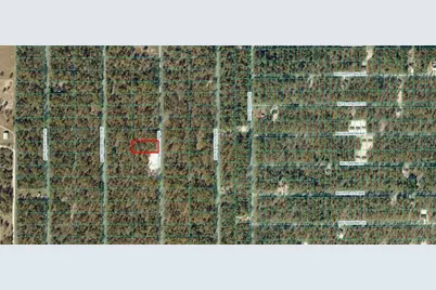 Nw Tree Top Road, Dunnellon, FL 34431 - Photo 8