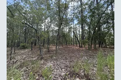 Nw Tree Top Road, Dunnellon, FL 34431 - Photo 1