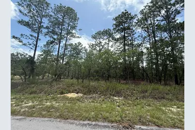 Nw Tree Top Road, Dunnellon, FL 34431 - Photo 4