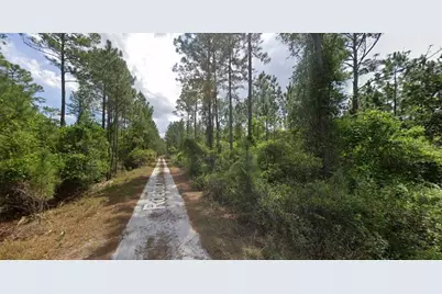 147 Roebuck Street, Georgetown, FL 32139 - Photo 10