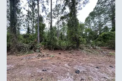 147 Roebuck Street, Georgetown, FL 32139 - Photo 1