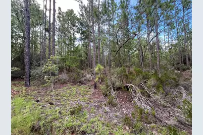 124 New York Avenue, Interlachen, FL 32148 - Photo 6