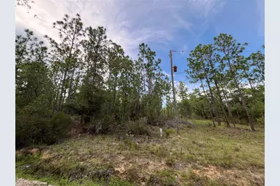 124 New York Avenue, Interlachen, FL 32148 - Photo 1