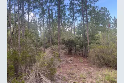 124 New York Avenue, Interlachen, FL 32148 - Photo 4