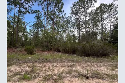 124 New York Avenue, Interlachen, FL 32148 - Photo 8