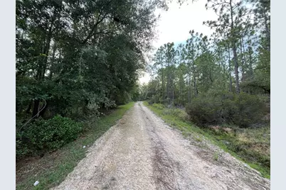 124 New York Avenue, Interlachen, FL 32148 - Photo 2