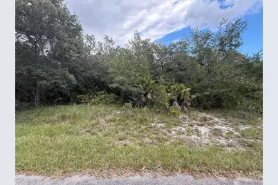 1012 Wildflower Street, Lake Placid, FL 33852 - Photo 8