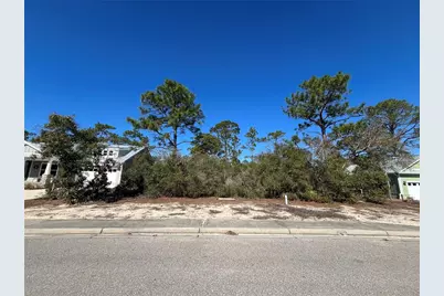 394 Royal Tern Way, Carrabelle, FL 32322 - Photo 2